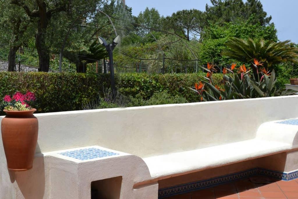 Casa Joyce Lägenhet Sorrento Exteriör bild